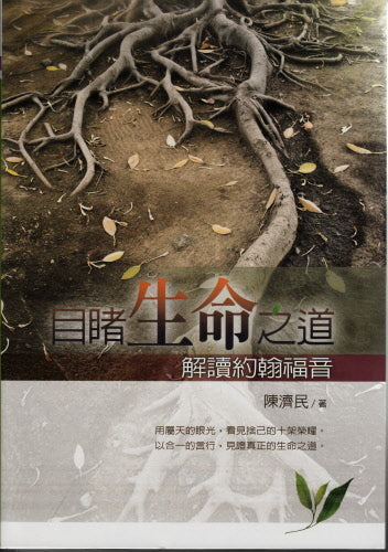 目睹生命之道--解讀約翰福音 -- Witnessing the True Life