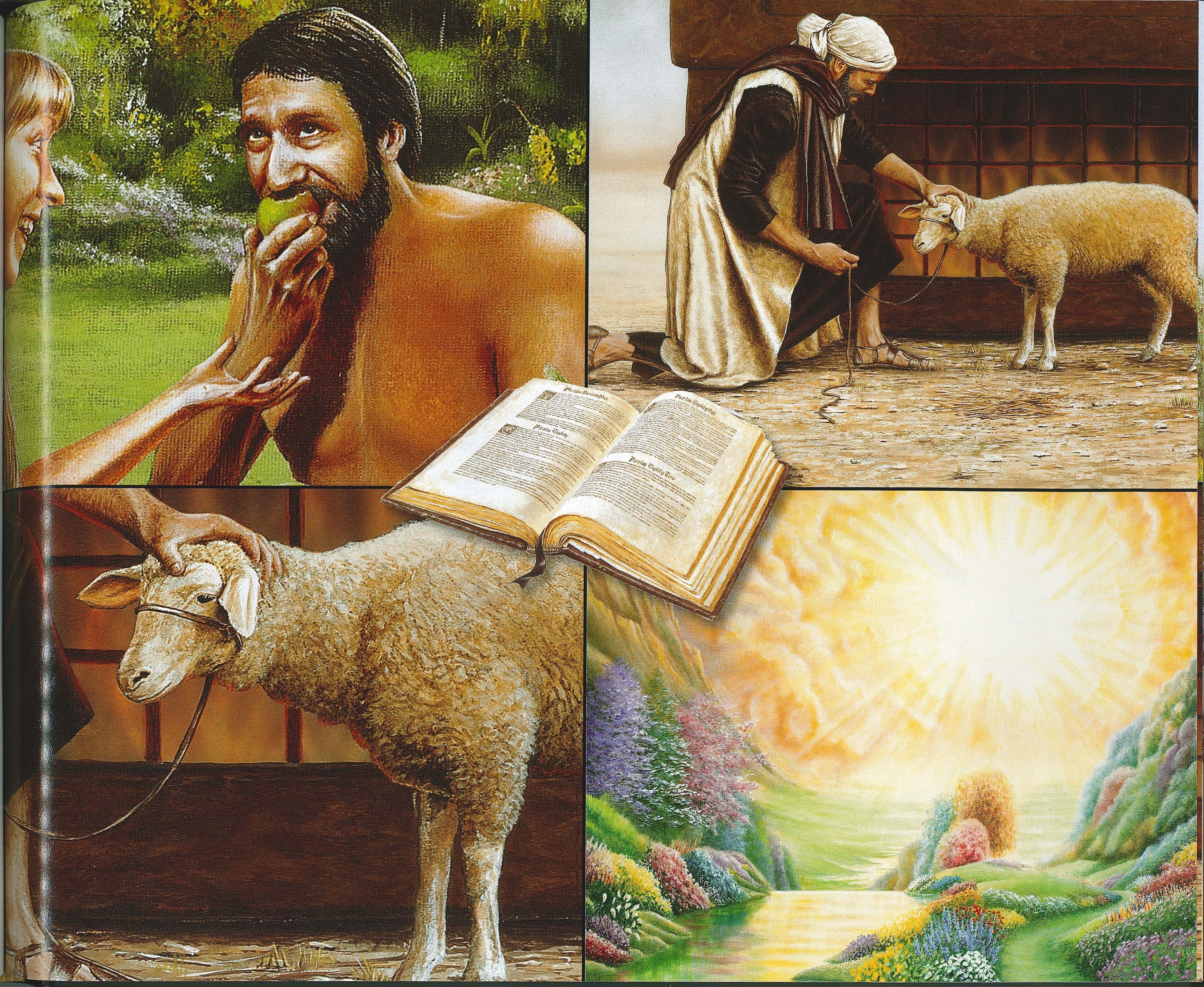 The Lamb - English